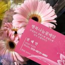 승진상사 | 승진축하화분문구 BEST 직장인들이 뽑은 센스있는 승진 축하 문구