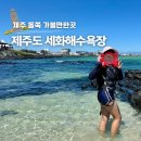 세화리해수욕장 | 제주 세화해수욕장 샤워 파라솔 제주도 구좌읍 해변 가볼만한곳