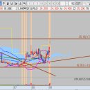 금양메디칼 이미지