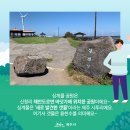 신창싱계물 이미지