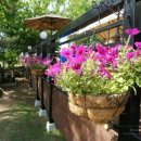 숲속의 정원 이미지