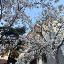 피어나라 태권도 | 시렸던 겨울을 지나