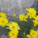 생활수필 창작교실 이미지