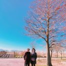 사랑한스푼 이미지