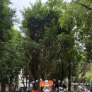 58 | 대만 위스키 성지 가품양주, 리얼58 후기 타이베이 위스키 쇼핑 추천