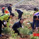 희망나무심기6 이미지