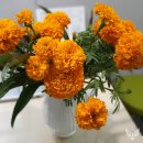 모세마취통증의학과의원 이미지