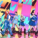 상아케이 스타데일리뉴스 