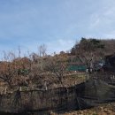 좌곤리 새마을회관 네이버블로그