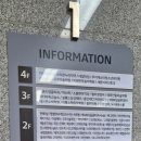 하이멍냥 강아지분양 고양이분양 서울본점 이미지