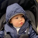 올리어린이집 이미지