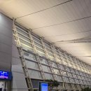 2025년 4월, 카타르항공 탑승후기, 도하공항 정원, 도하공항스타벅스