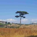 옥산중학교 이미지