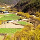 생각대로 이미지