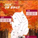 2025년 단풍 예상시기 이미지
