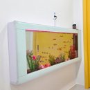 보림어린이집 이미지