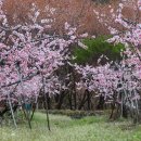 앞섬마을 이미지