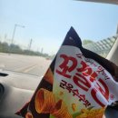 호검관 | 제66회 서울특별시장기 검도대회 후기