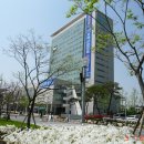 광주시청R 이미지