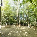 포이초등학교 이미지