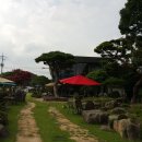 커피와소나무 이미지