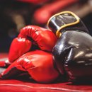 팀몬스터 복싱 이미지