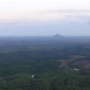 육림개발 이미지