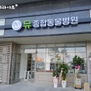 뮤동물병원 이미지