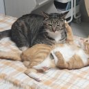 신울산종합시장 이미지