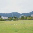 골든벨부동산공인중개사사무소 이미지