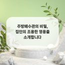 주방영웅