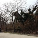 서광리-3 이미지