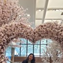 비자숲민박 이미지