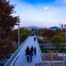 양평가로녹지 이미지