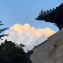 기타등등 이미지