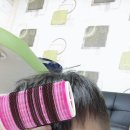 상하카센타 이미지