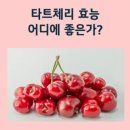 체리 이미지