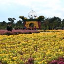 드림파크 이미지