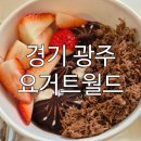 글라스 월드(광주 태전점) | 두쫀쿠보다 맛있는 두바이생딸기월드, 태전동카페 디저트 맛집 요거트월드 태전점