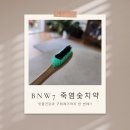 (주) 템투리언 | [BNW7치약] 까만 숯치약과 만난 첫 느낌은? 구취와 잇몸건강을 위한 BNW7치약 사용 후기