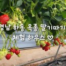 옥종농장 이미지