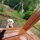 유선정 체육공원 이미지