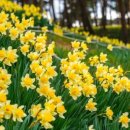 이도목장 이미지