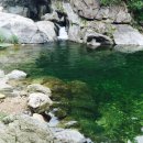 여주-0079 이미지