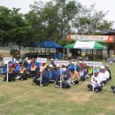 게이트볼 이미지