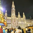 황금P.C | [선착순 1만원 할인] 비엔나 크리스마스 마켓 20년 경력 야경투어 예약 꿀팁 (마이리얼트립)