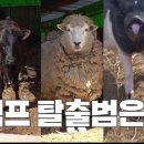 저팔계농장 이미지