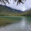 (주)휘슬러비씨 이미지