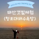 [태안 : 청포대 해수욕장] 5/15 갯벌체험 조개캐기 후기