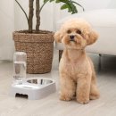 마이펫스토어 이미지